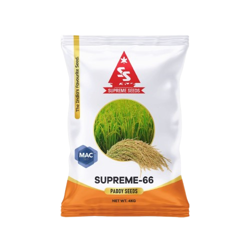 Supreme 66